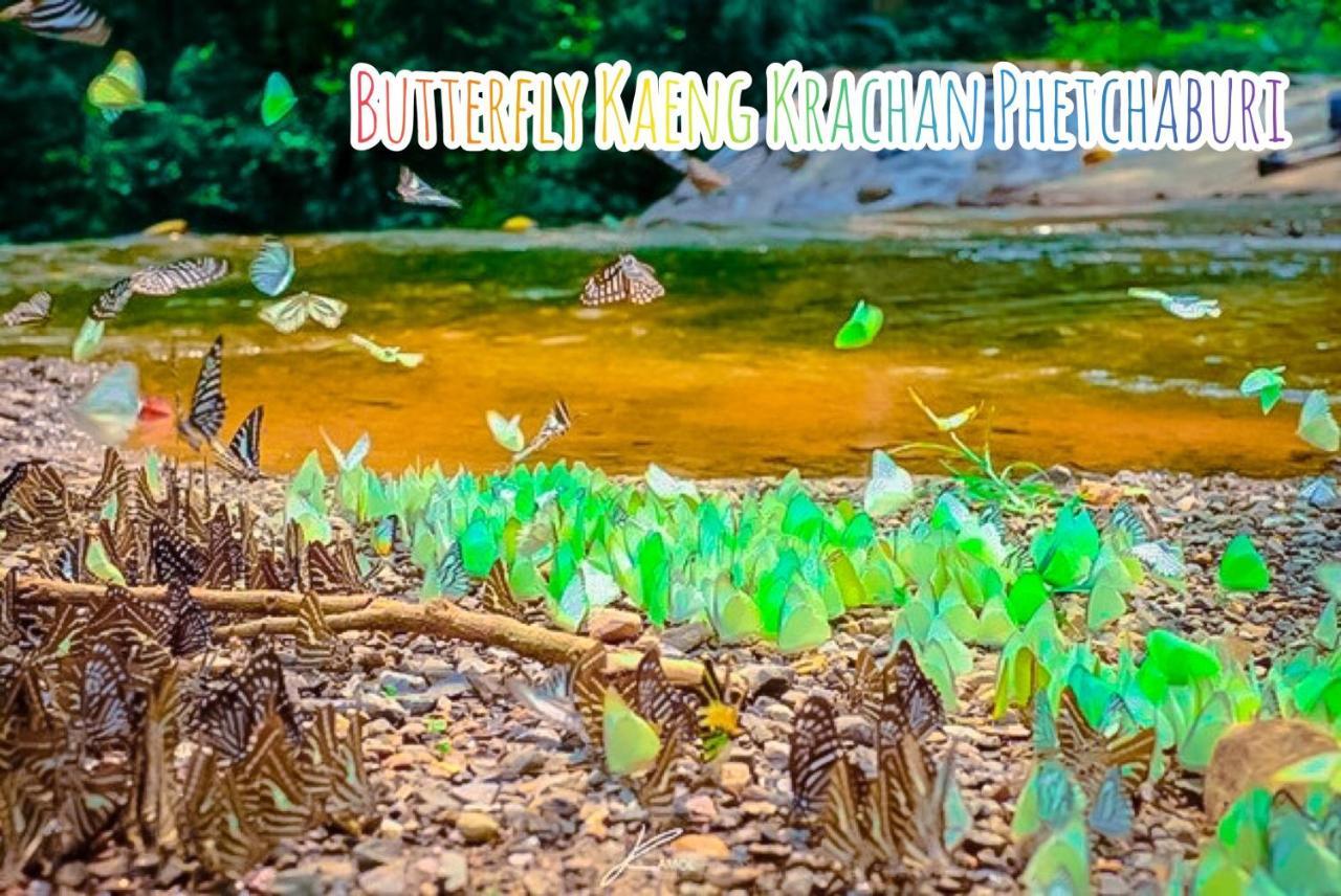 Baan Rai Pray Rung Kaeng Krachan Ban Tha Ling Lom Kültér fotó